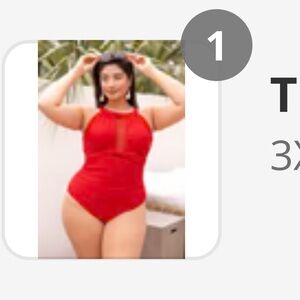 Chic Soul swimsuit 3x